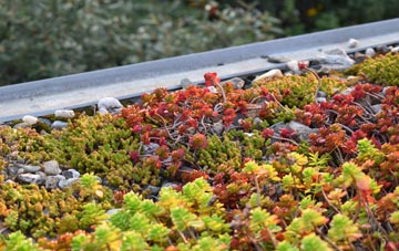 the cost of Hollowmoor Heath green roof installation