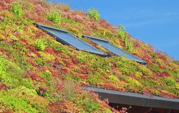Hollowmoor Heath living roof systems